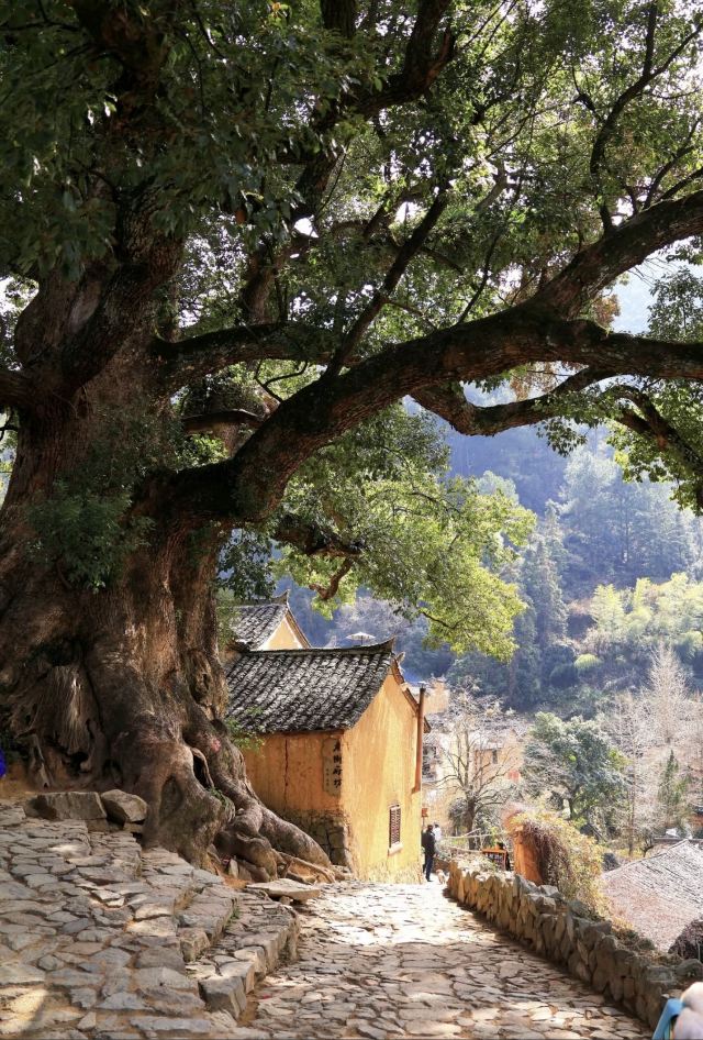 三峡人家风景区旅行图片 1