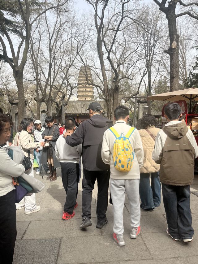 西安博物院旅行图片 1