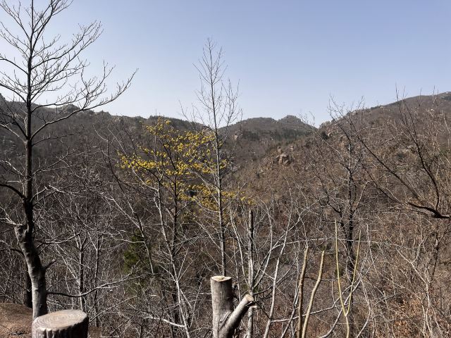 乌龙溪景区旅行图片 2