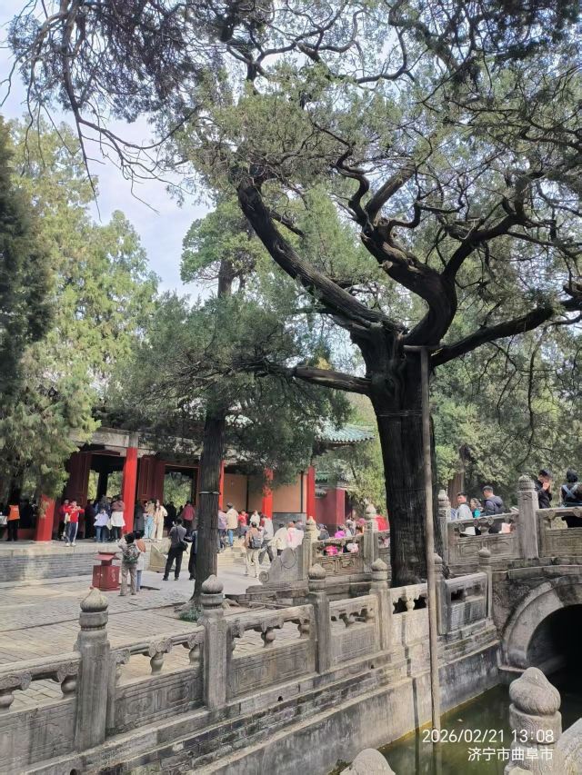 孔庙旅行图片 3