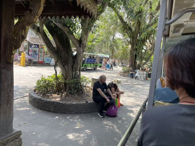 西双版纳傣族园旅行图片 4