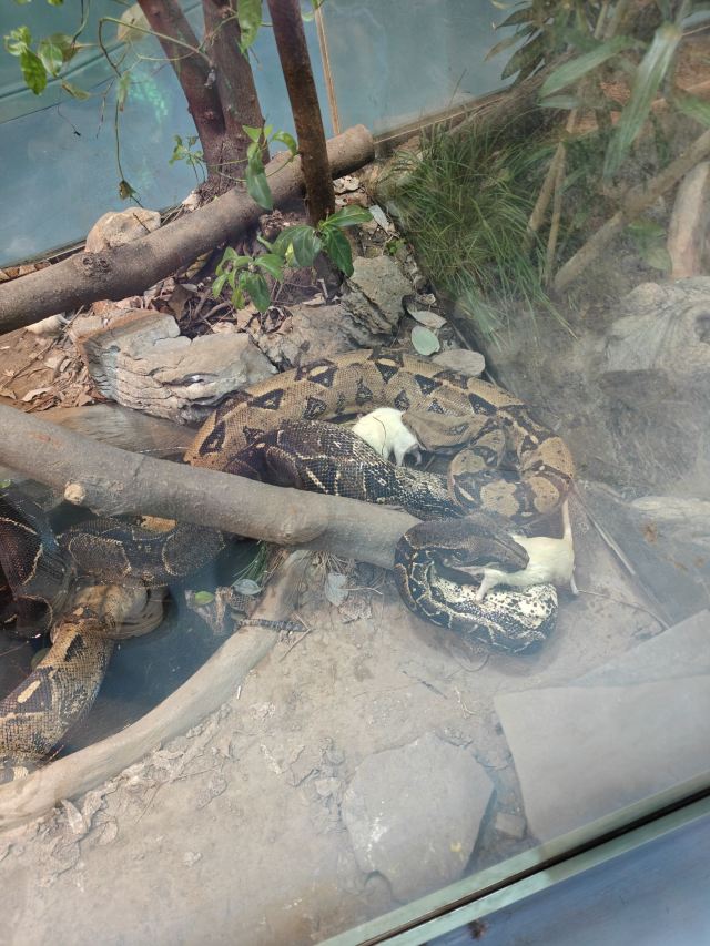 东方明珠公园旅行图片 2