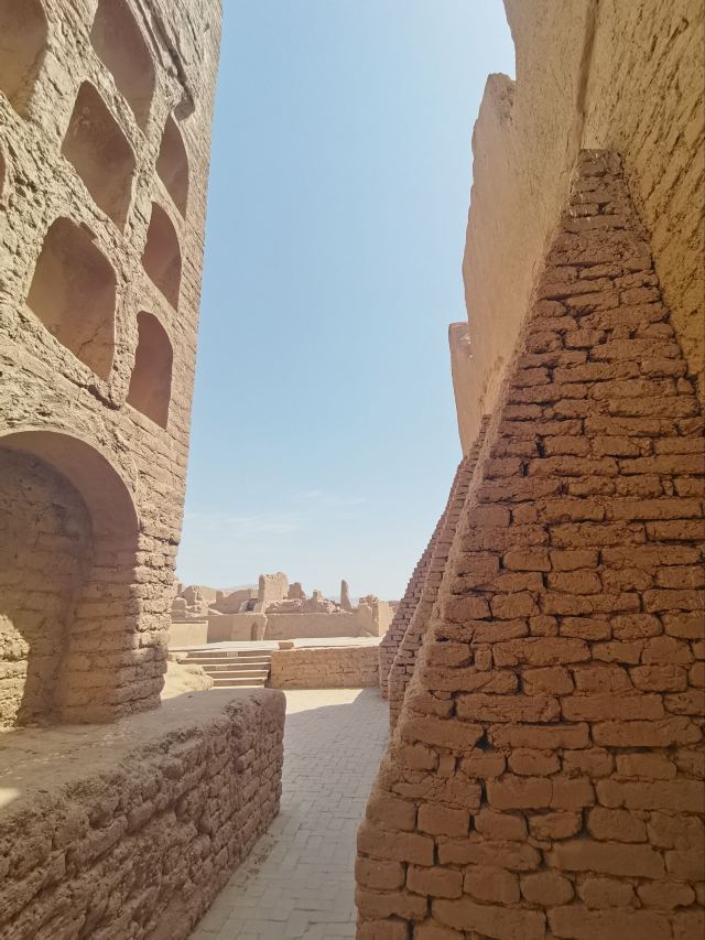 高昌故城旅行图片 3