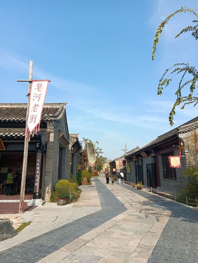 皂河龙运城旅行图片 2