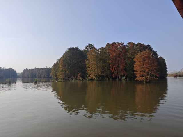 池杉湖国家湿地公园旅行图片 5