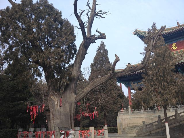 尧庙旅行图片 5