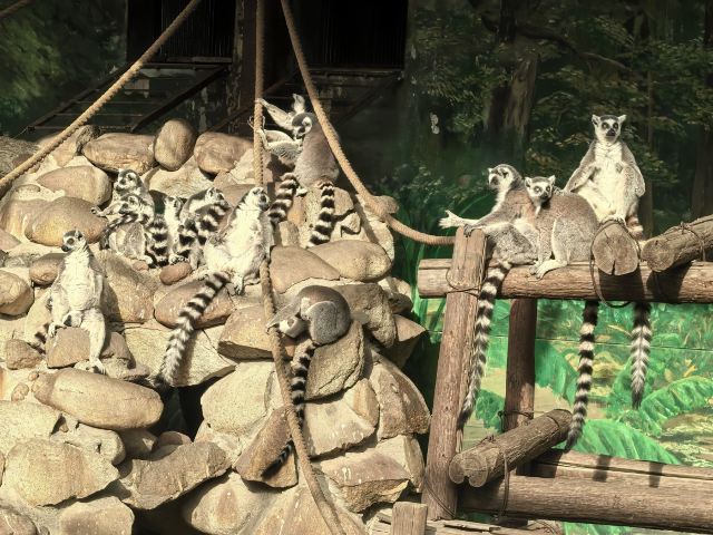 西安秦岭野生动物园旅行图片 8