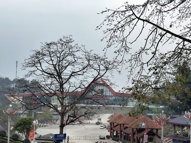 友谊关景区旅行图片 6