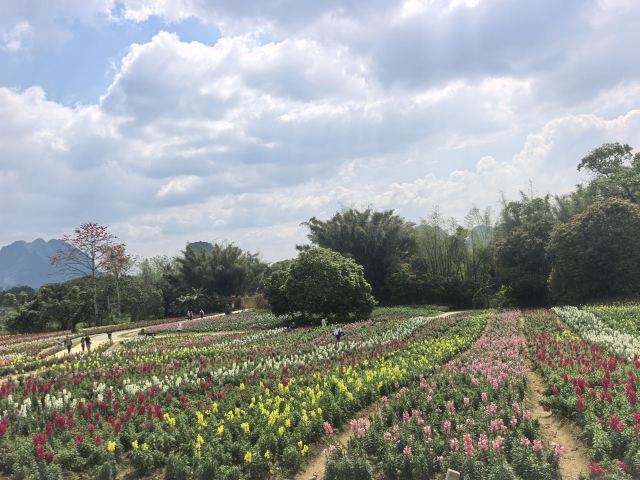 峒那屿湾旅行图片 3