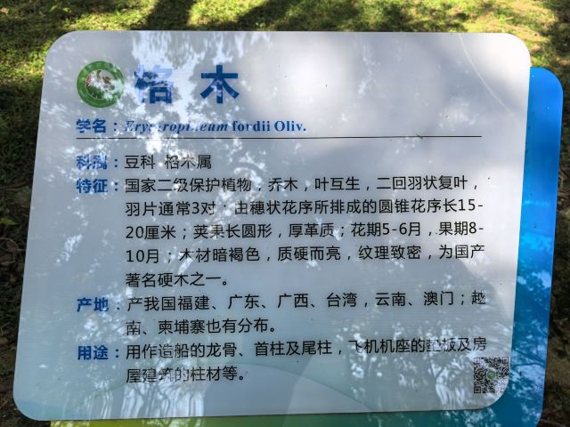 海南热带植物园旅行图片 5