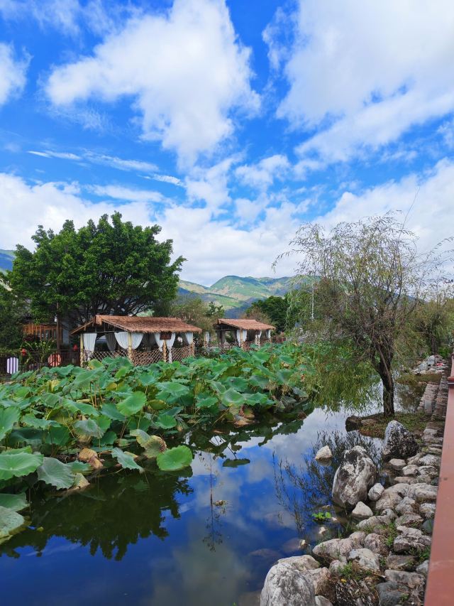 大理西湖旅行图片 3