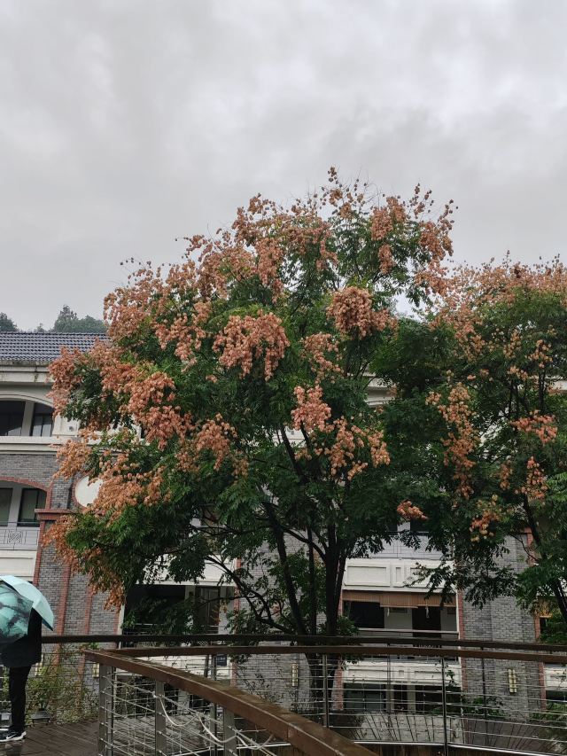 上海韩湘水博园旅行图片 9