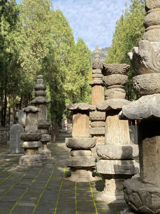四门塔旅行图片 5
