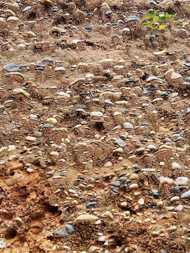 雨花石地质公园旅行图片 2