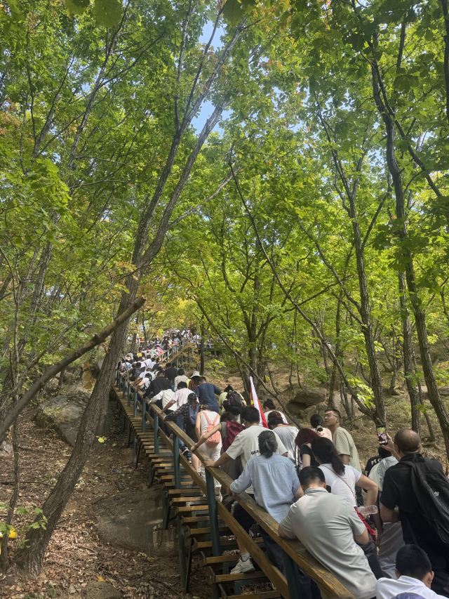 朱雀山国家森林公园旅行图片 4