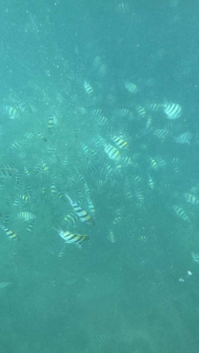石梅湾加井岛旅行图片 1