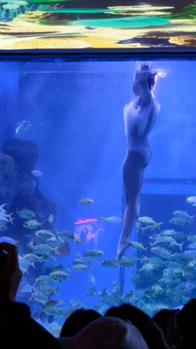 昆明海趣花都海洋世界旅行图片 9