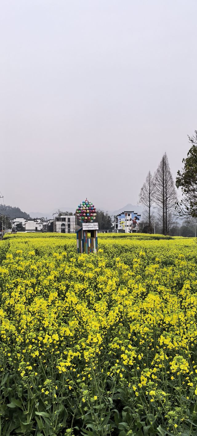 齐云山景区旅行图片 7