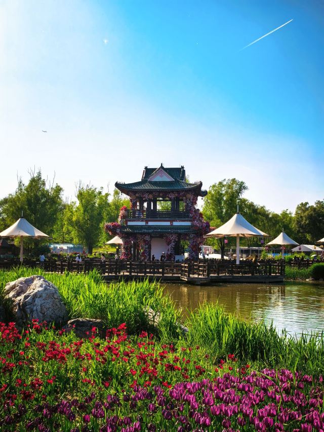 北京北京国际鲜花港游玩攻略简介,北京北京国际鲜花港门票/地址/图片/开放时间/照片/门票价格【携程攻略】
