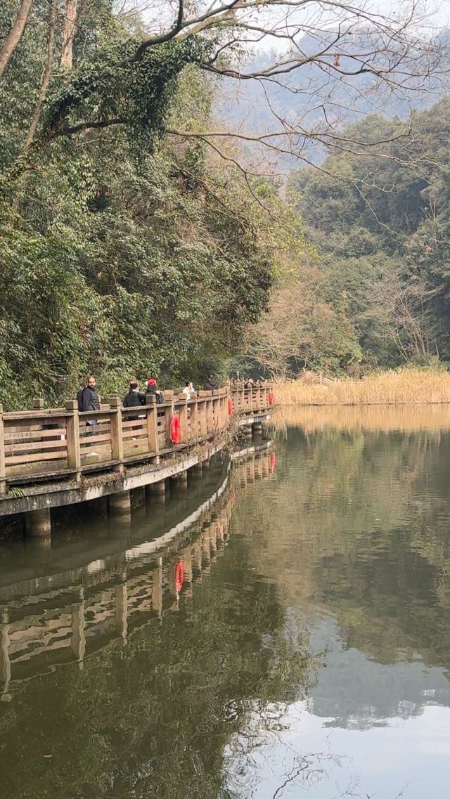 青城山景区旅行图片 2