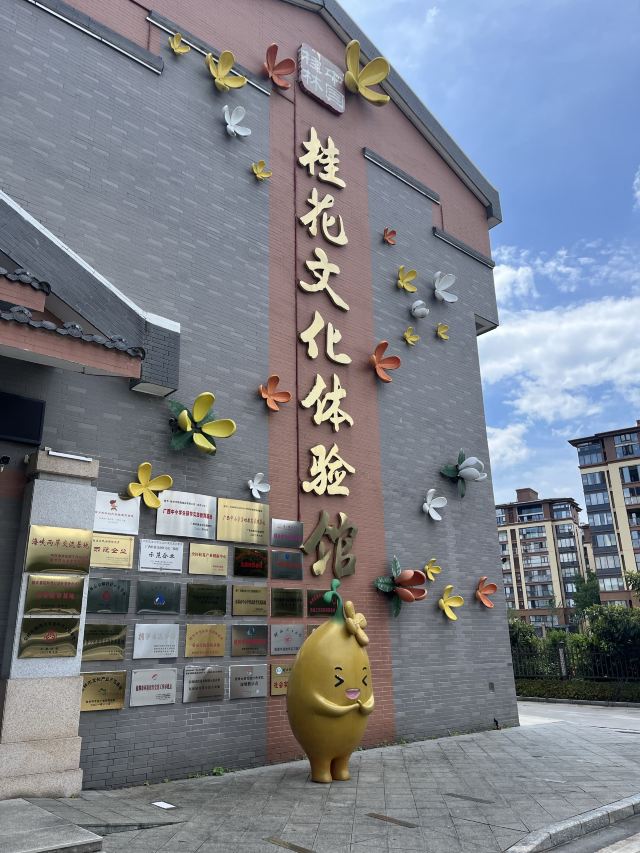 桂花公社景区旅行图片 1