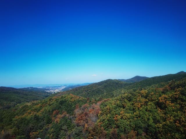 鸡冠山国家森林公园旅行图片 3