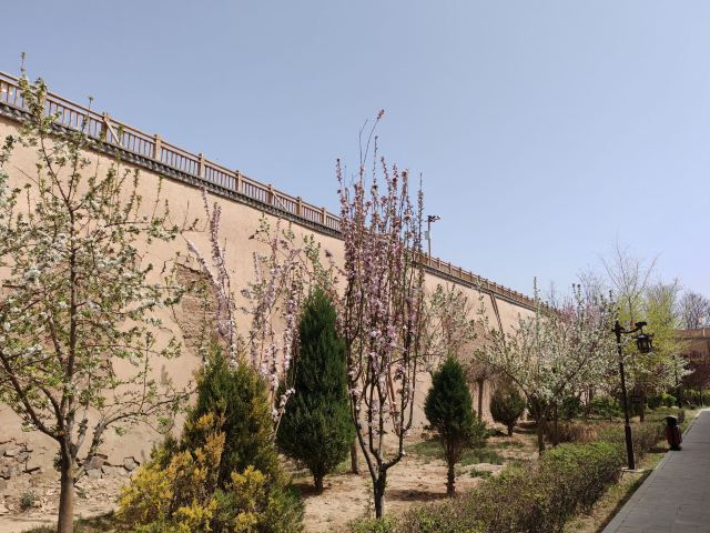 董府旅行图片 2