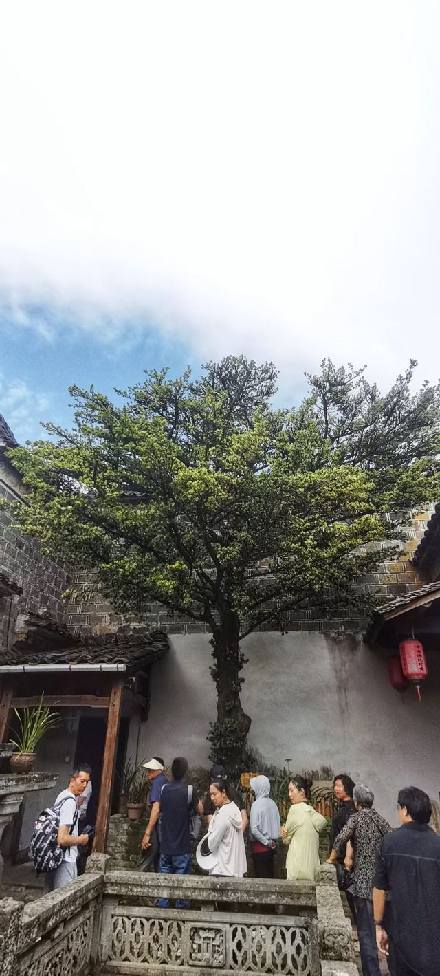 武夷山下梅古民居旅行图片 2