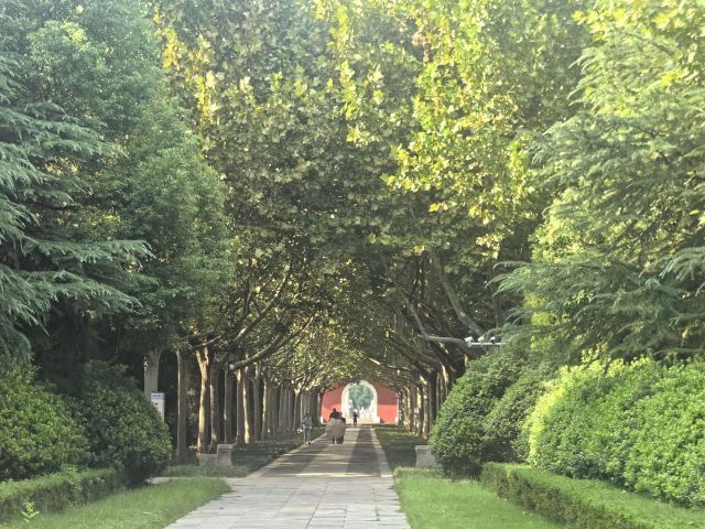 明祖陵旅行图片 4