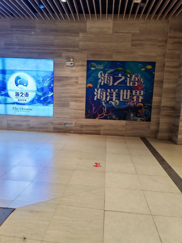 海之语海洋世界旅行图片 2