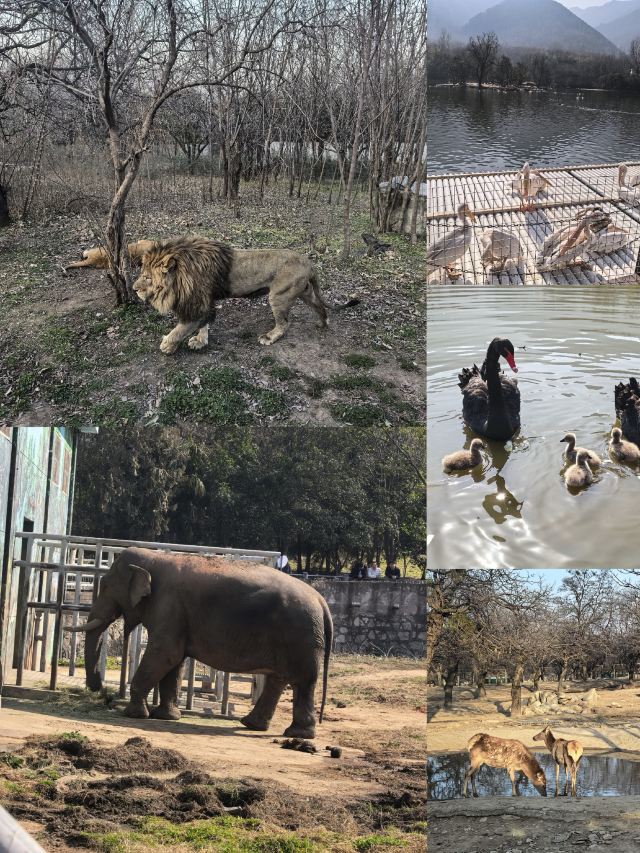 西安秦岭野生动物园旅行图片 1
