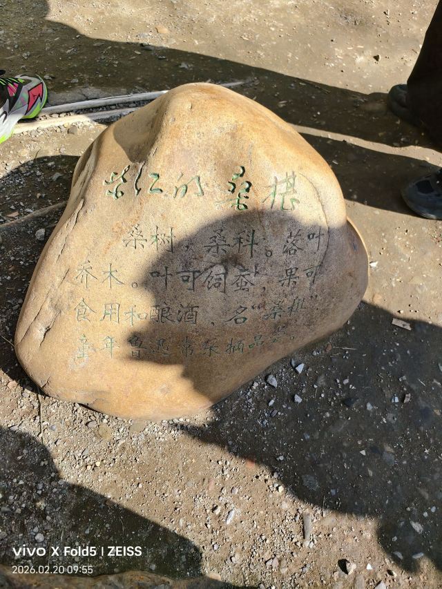 鲁迅故里旅行图片 3