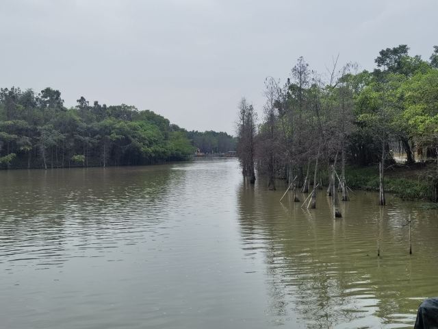 小鸟天堂旅行图片 3