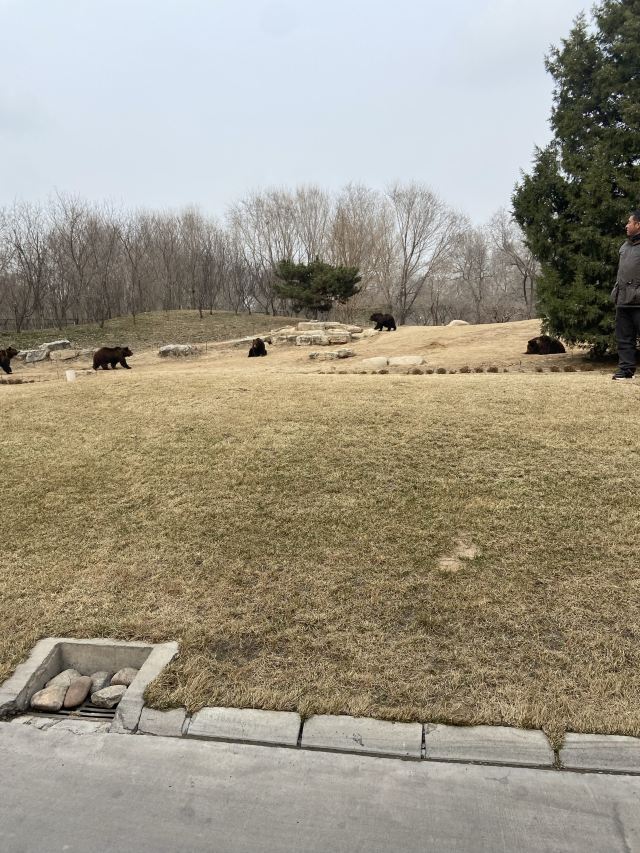 北京野生动物园旅行图片 1