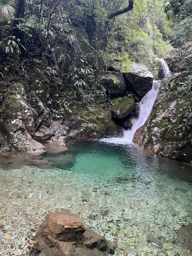 箬寮原始森林旅行图片 3