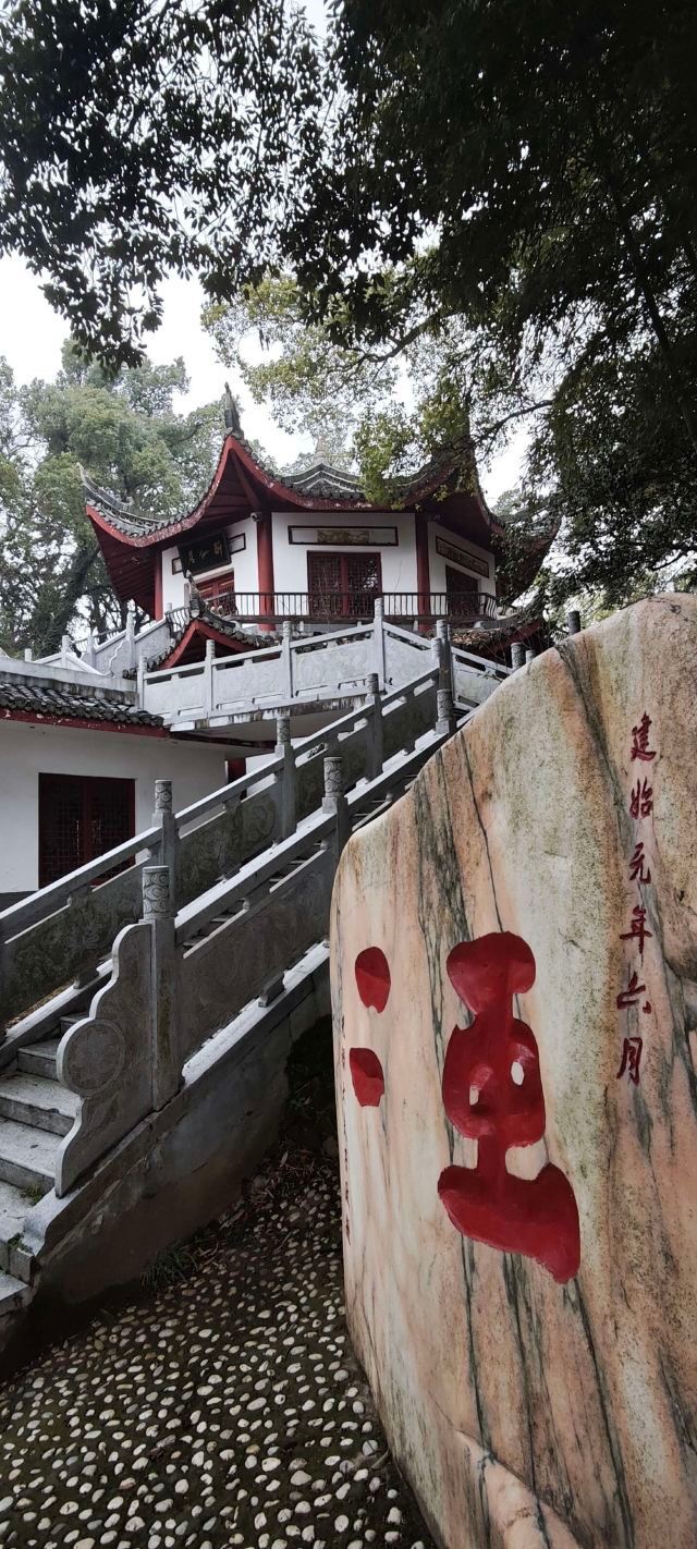 君山岛景区旅行图片 5