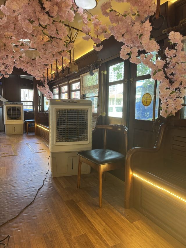 201路百年文旅专列旅行图片 1