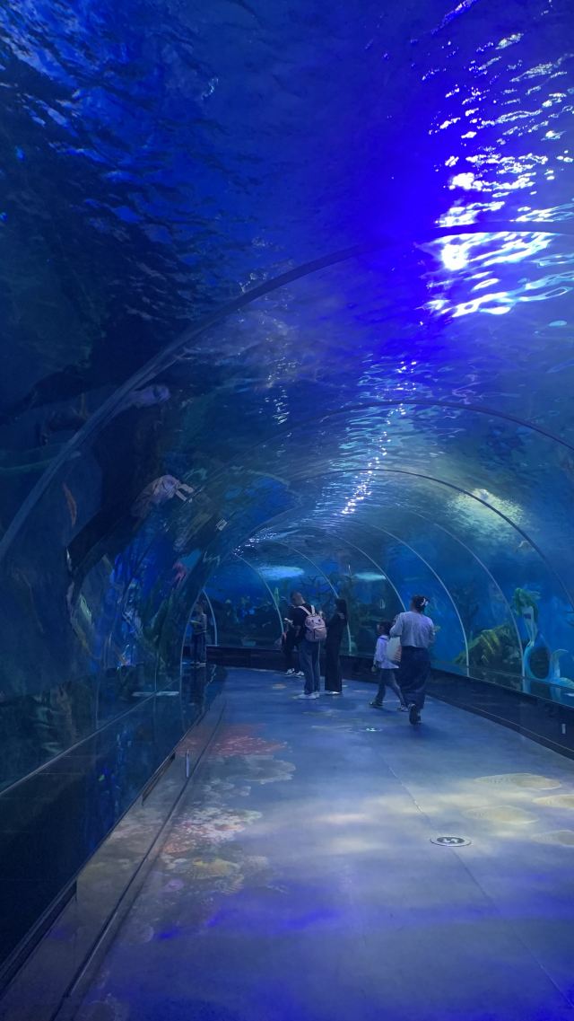 福州欧乐堡海洋世界旅行图片 4