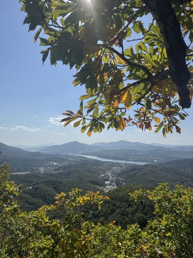 朱雀山国家森林公园旅行图片 3