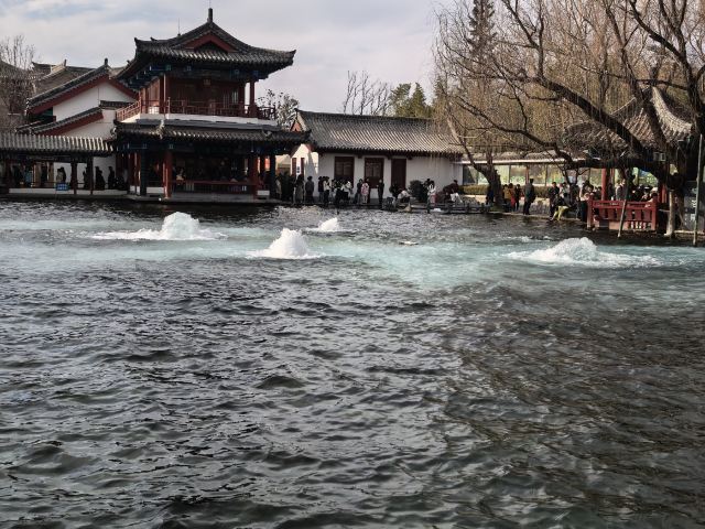 清照泉城·明水古城国际泉水旅游度假区旅行图片 3