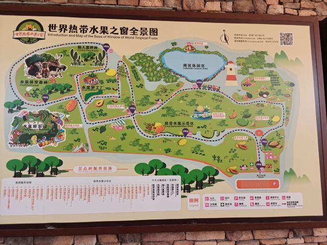 世界热带水果之窗(海南盛大共享农庄)旅行图片 1