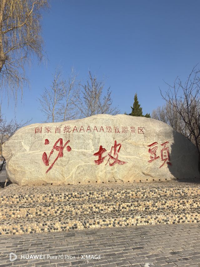 沙坡头旅游景区旅行图片 1