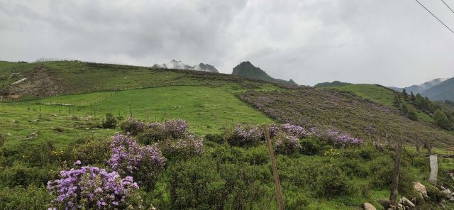 青海互助北山国家森林地质公园浪士当中心景区(暂停开放)旅行图片 3