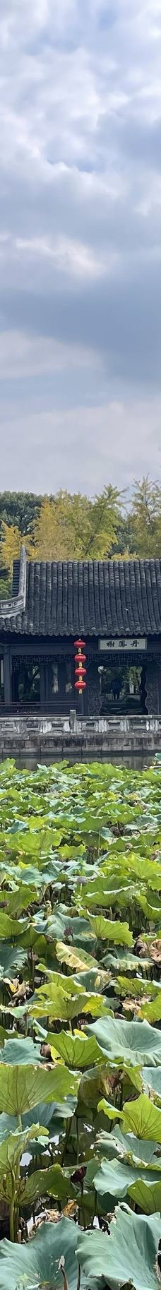上海大观园-上海-鼎战士