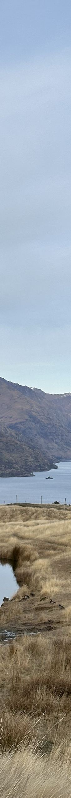 鹿苑高原-皇后镇-YoYo_8D9M3P0Q