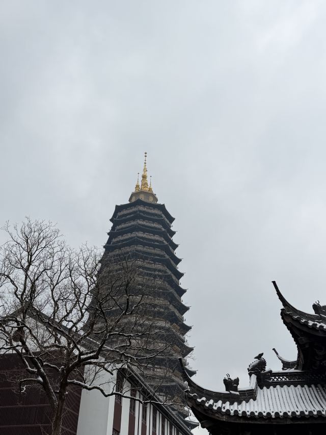 天宁禅寺旅行图片 1