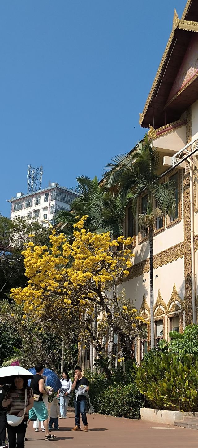 曼听御花园景区旅行图片 4