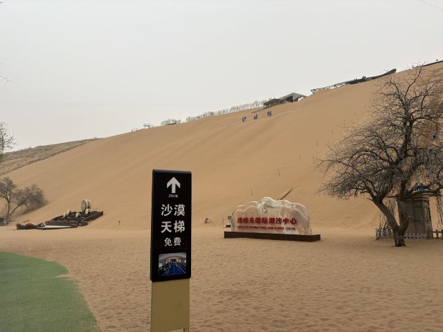 沙坡头旅游景区旅行图片 3