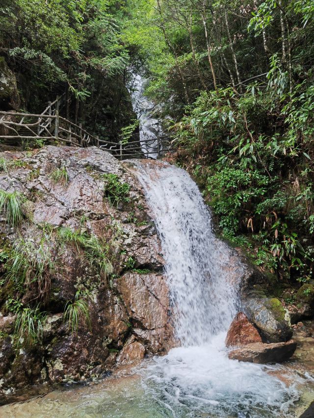箬寮原始森林旅行图片 4