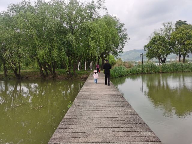 长兴太湖图影湿地文化园-观景塔旅行图片 3